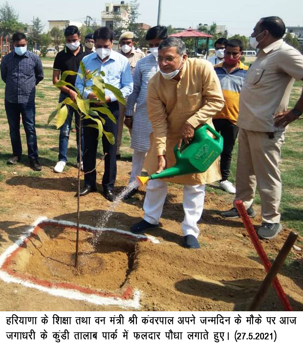 हरियाणा में फलदार वृक्षों को लगाने की मुहिम शुरू 