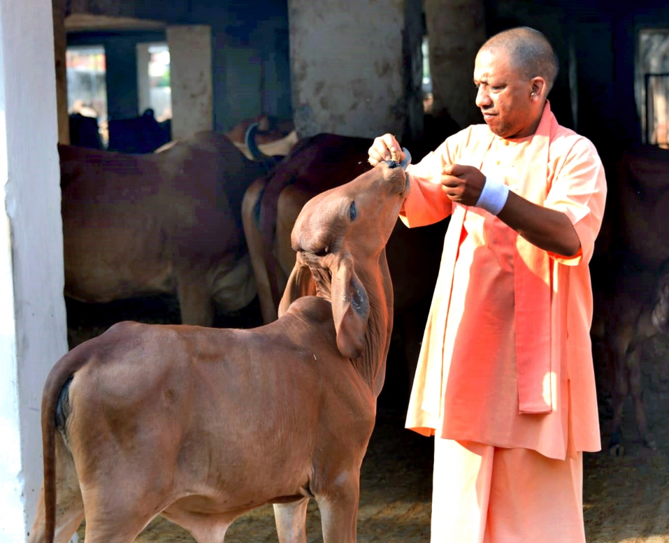 हापुड़ स्थित एक फैक्ट्री में बॉयलर फटने  की दुर्घटना की जांच विशेषज्ञों से कराने के निर्देश