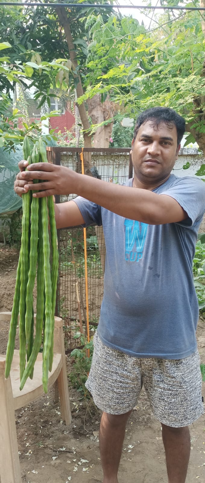 सहजन ,मतलब सेहत के लिए पॉवर हाउस