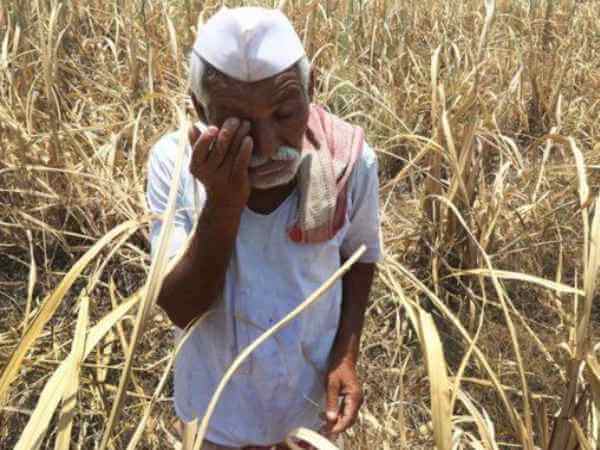 मराठवाड़ा में इस साल अब तक 636 किसानों ने की आत्महत्या