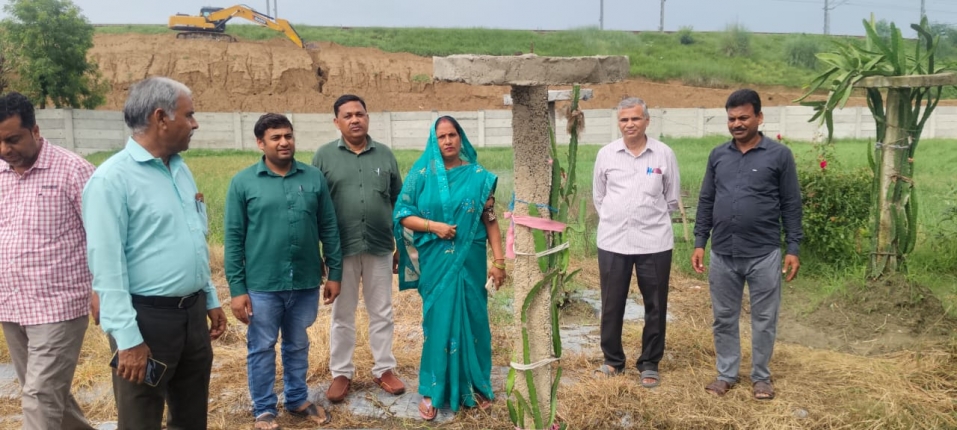 गांव में स्ट्रॉबेरी, ड्रैगनफ्रूट और रागी से तीन लाख तक कमा रहीं इटावा की मंत्रवती शाक्य
