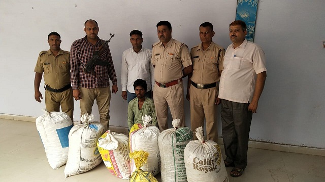 131 किलोग्राम गांजा, 9 किलो 100 गा्रम सुल्फा जब्त 
बिहार का रहने वाला है आरोपी