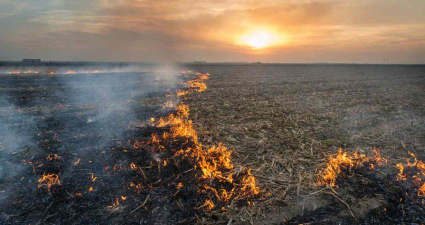 पराली से तैयार होगा बायो-एथेनौल- सुंदर शाम अरोड़ा